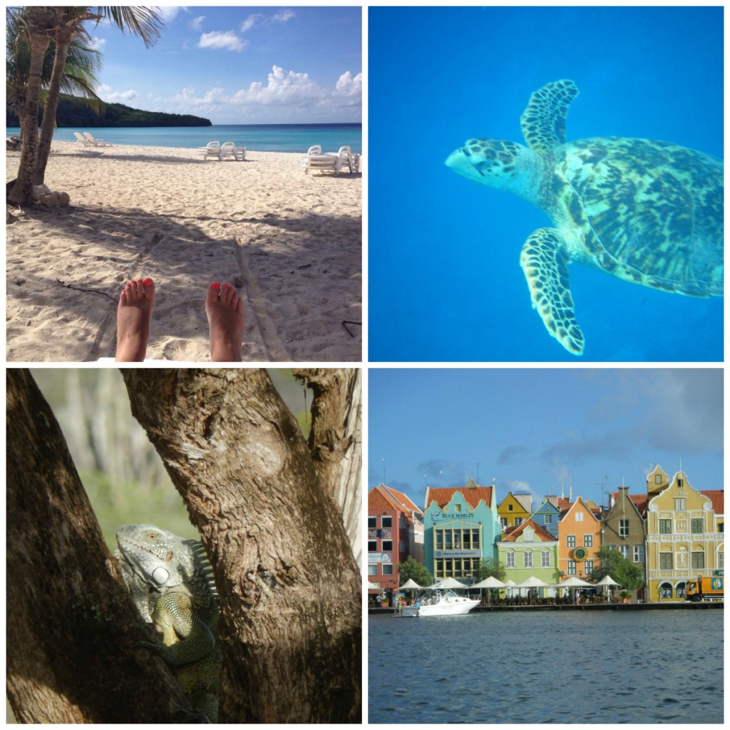 collage curacao – laura arends