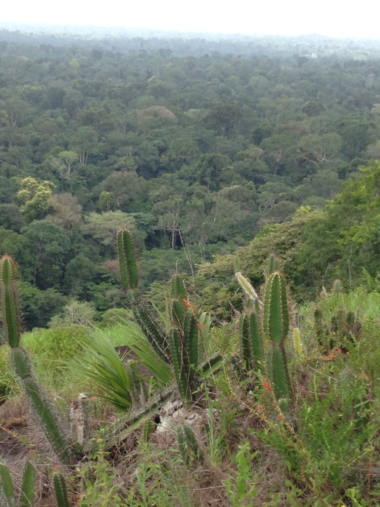 Uitzicht vanaf Okohill Kajana Suriname